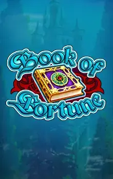 Book Of Fortune — Amatic
